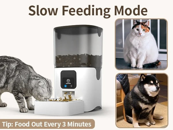 Cat and dog automatic feeder cat pet intelligent timed quantitative feeder cat food dog food feeder