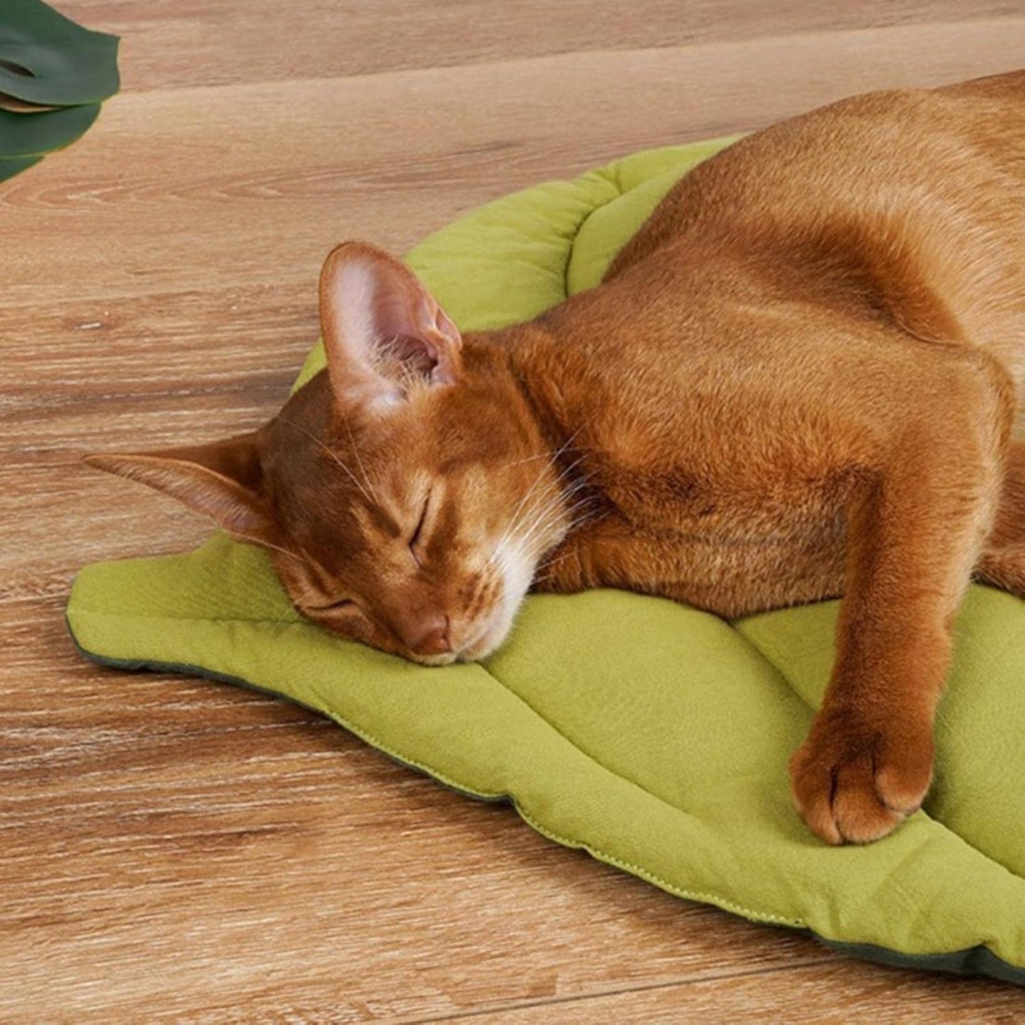 4-Season Pet Sleeping Pad - Durable Leaf Design Mat for Cats & Dogs, Cage or Floor Use