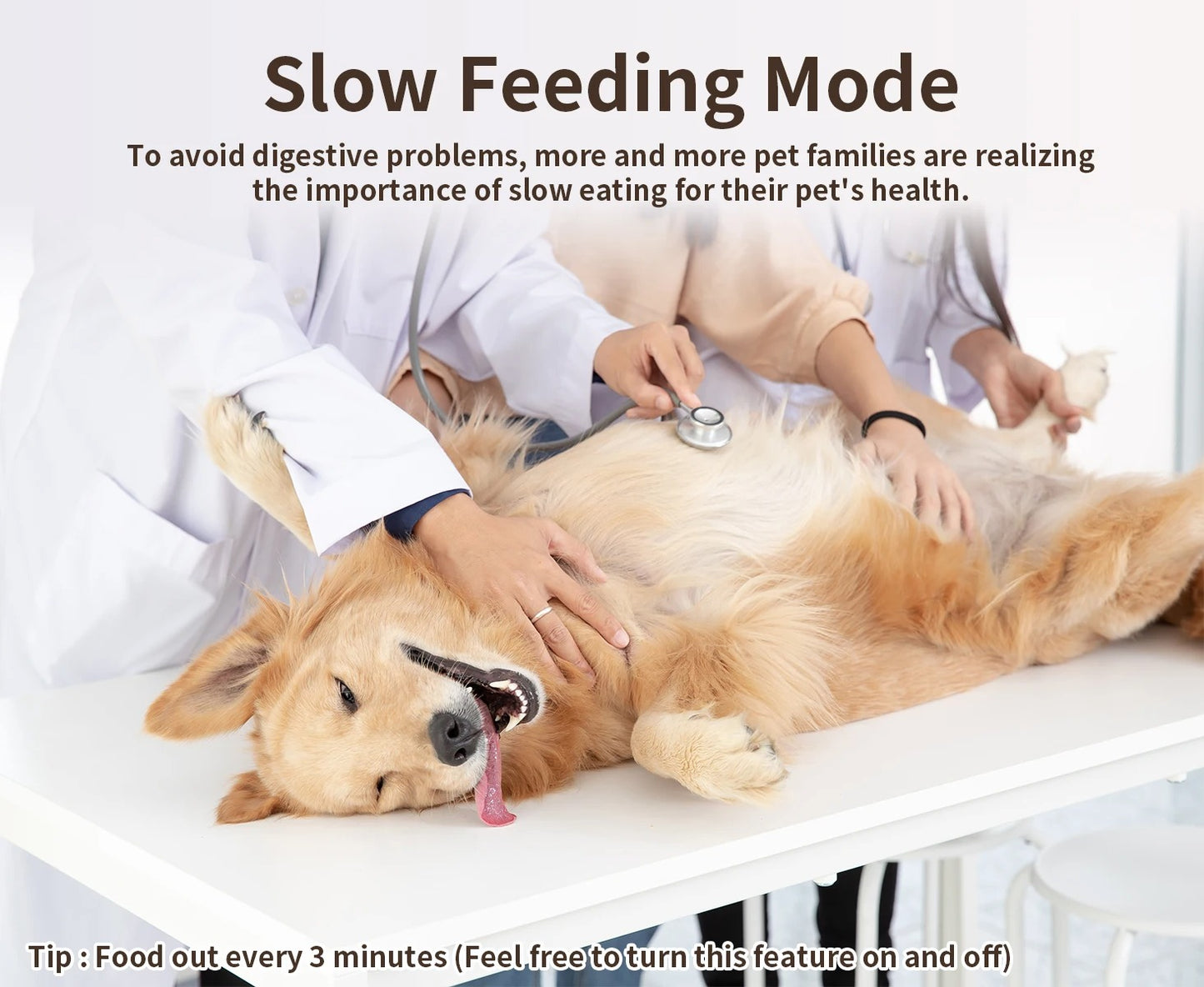 Cat and dog automatic feeder cat pet intelligent timed quantitative feeder cat food dog food feeder
